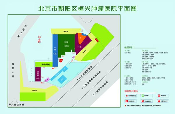 骚女肏逼视频网站北京市朝阳区桓兴肿瘤医院平面图